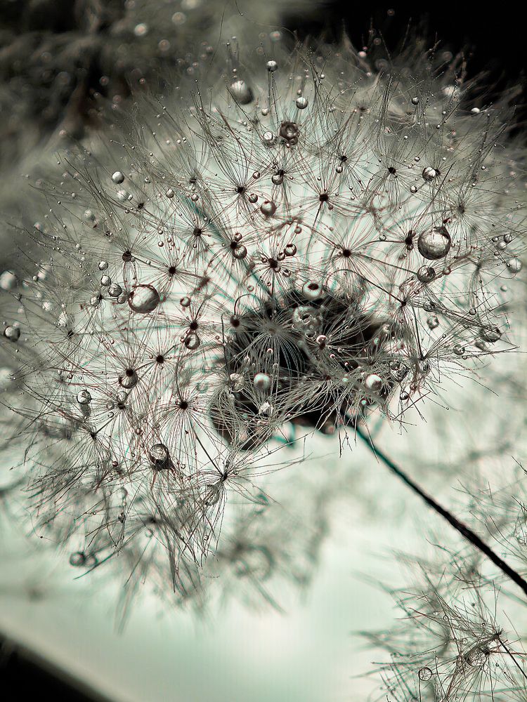 Photograph by Тамара Нижельская