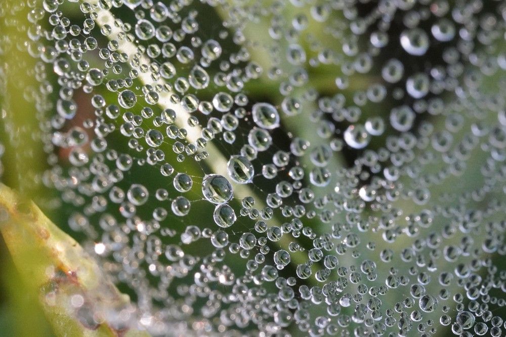 Photograph by Алфия Бугакова