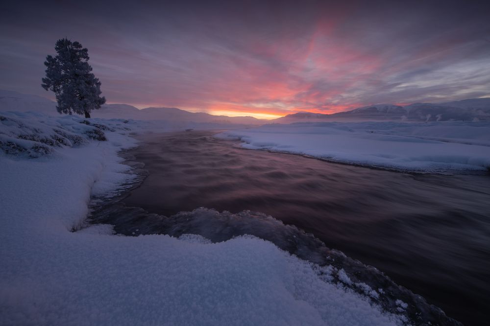 Photograph by Абрамов Денис