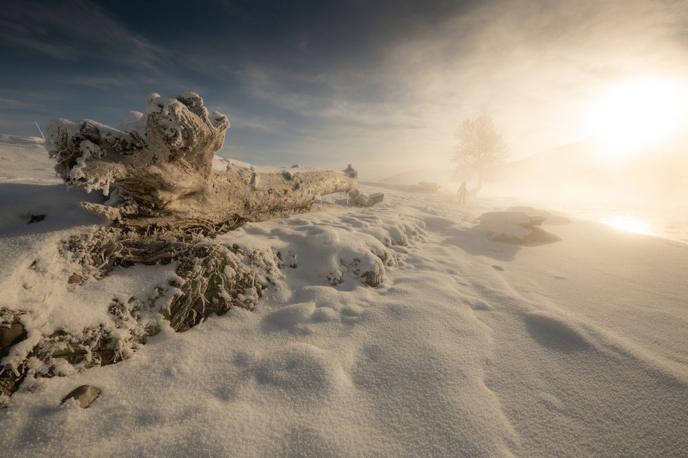 Photograph by Абрамов Денис