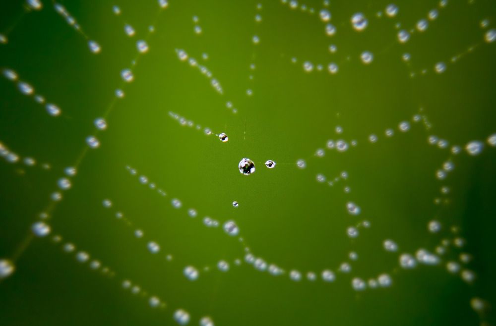 Бусинка воды