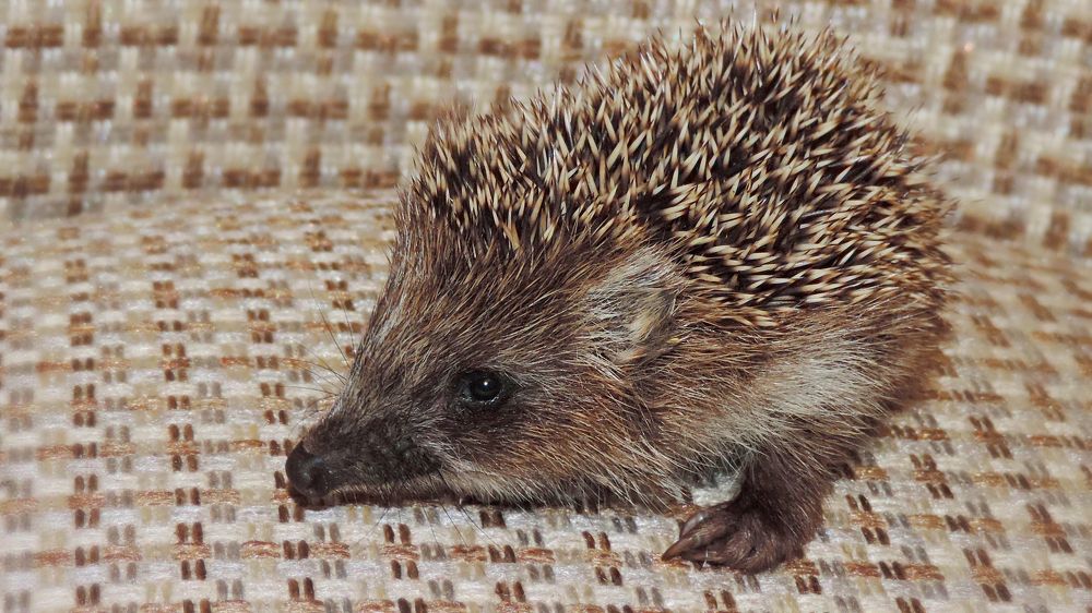 Photograph by Мария Широких