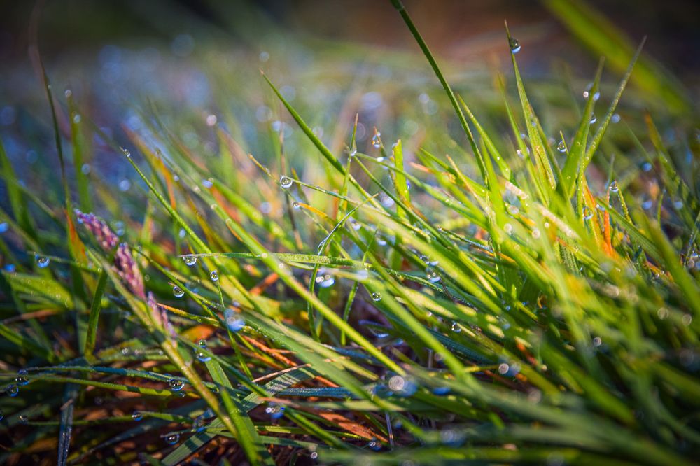 Photograph by Aleksandr Semenov