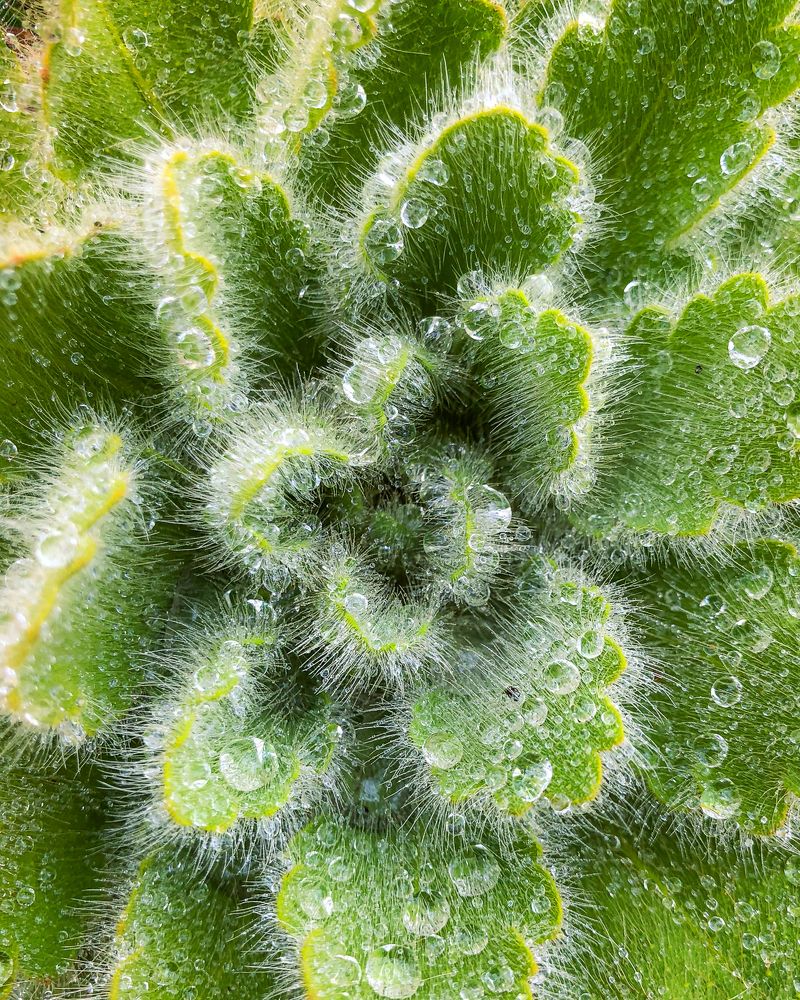 Photograph by Aleksandr Semenov