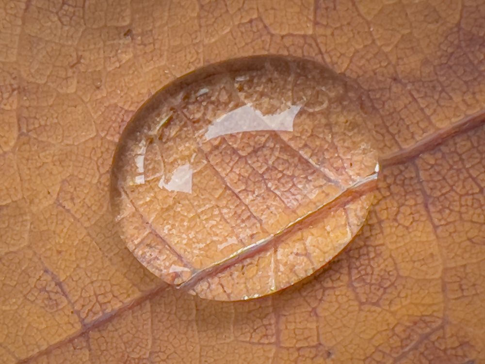 Photograph by Aleksandr Semenov