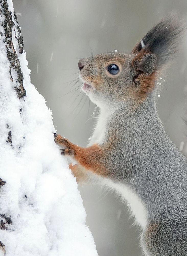 Photograph by Татьяна Орлова