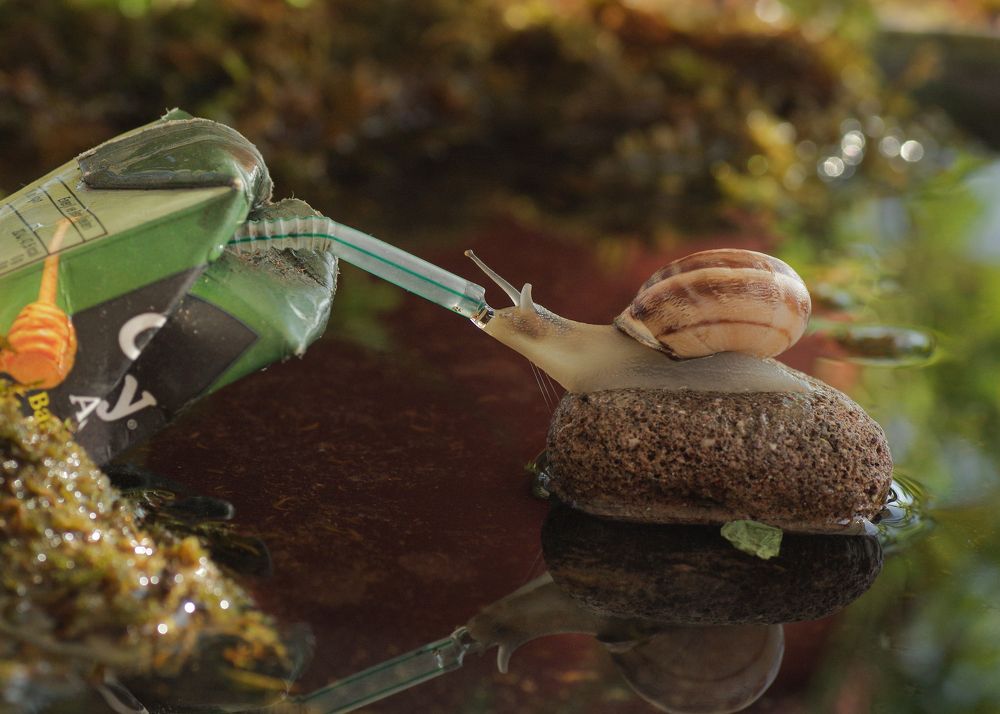 Photograph by Savas Sener