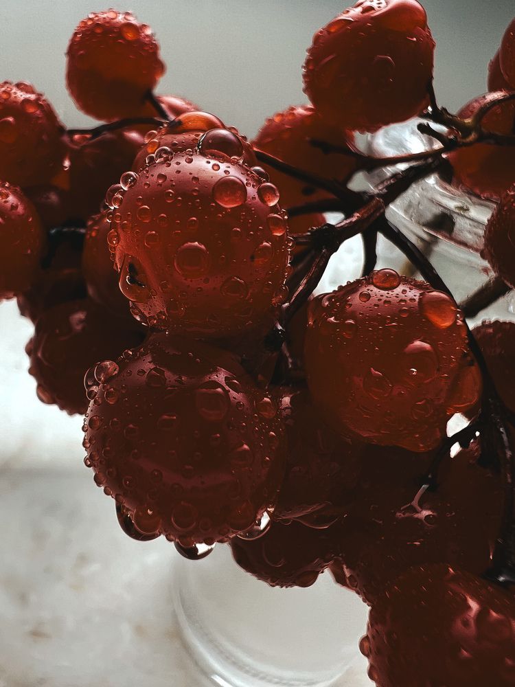 Photograph by Анастасия Германова