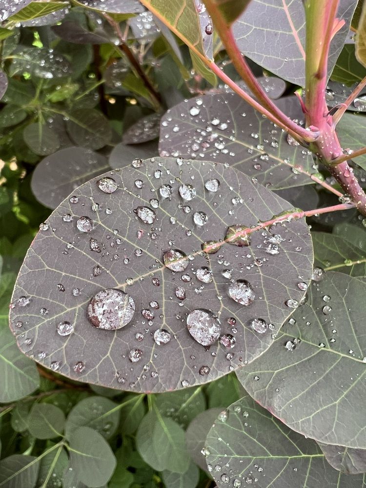 Photograph by Анастасия Германова