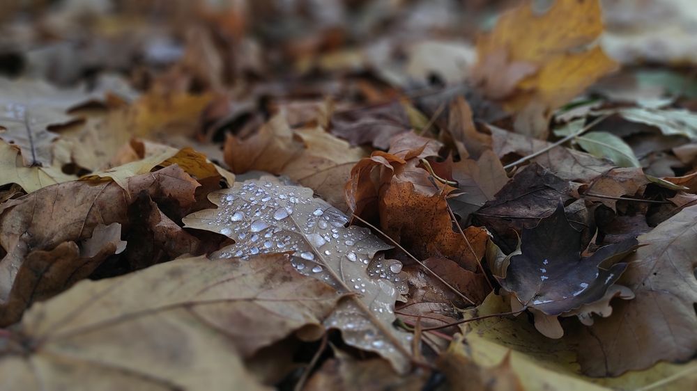 Photograph by Дмитрий Батраков