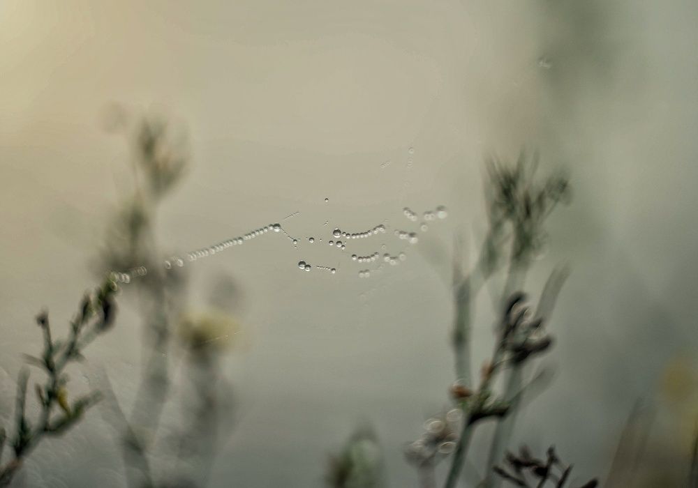 Photograph by Наталья Лещинская