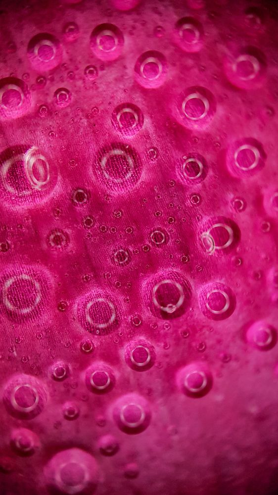 Photograph by Дарья Целуйко