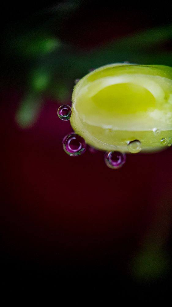 Photograph by Дарья Целуйко