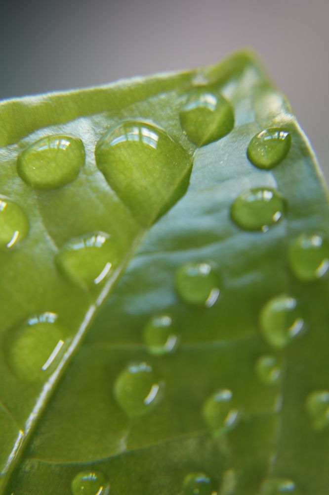 Photograph by Gonzalo Jorge Eduardo MARÓN