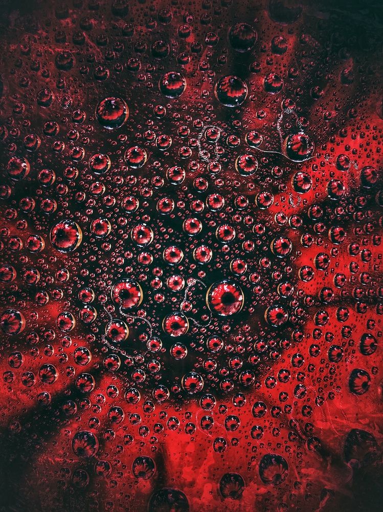 Photograph by Елена Ласун