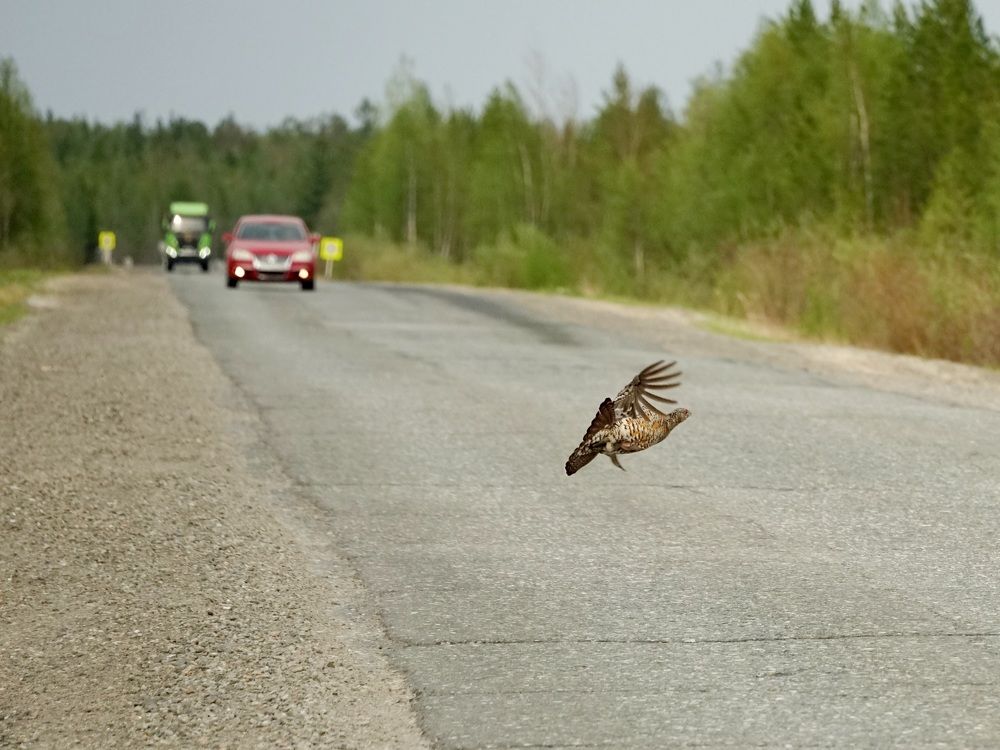 Photograph by Alexandr Klyuev