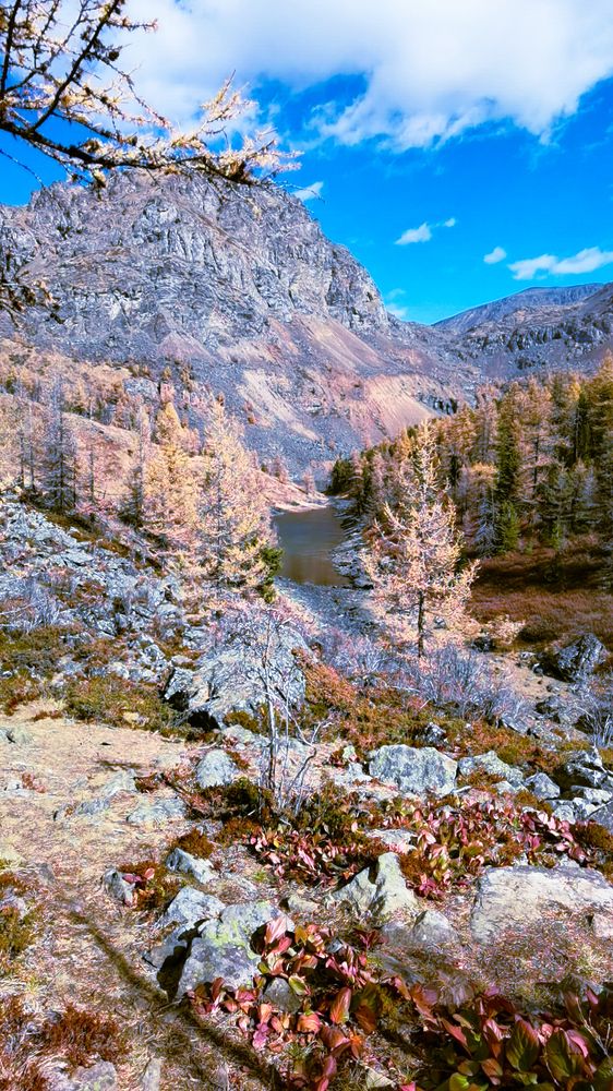 Photograph by Инна Адамович