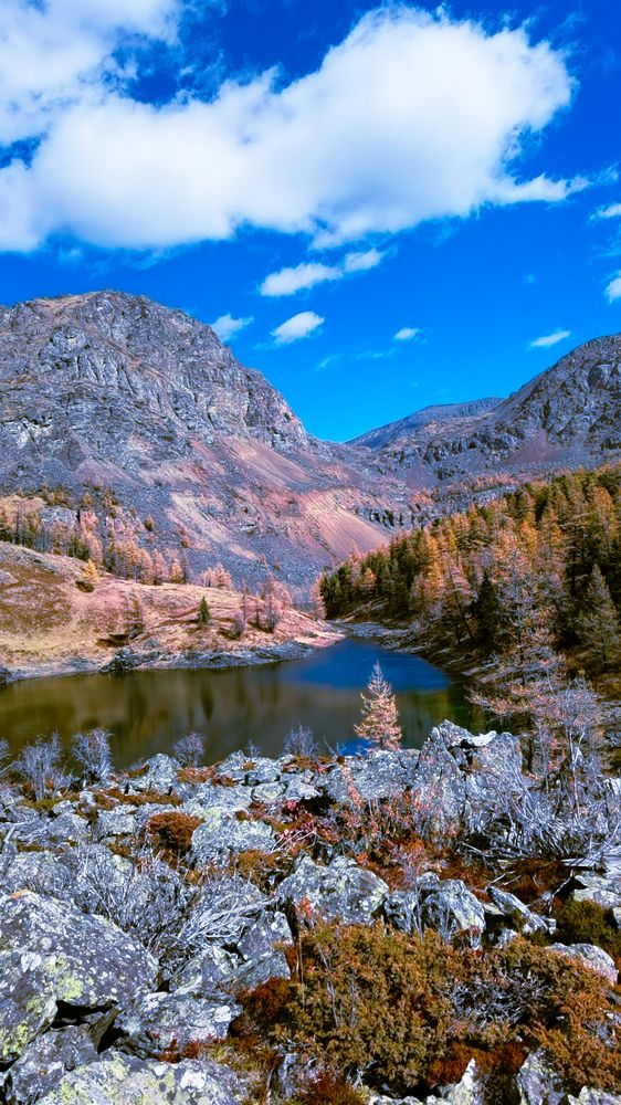 Photograph by Инна Адамович