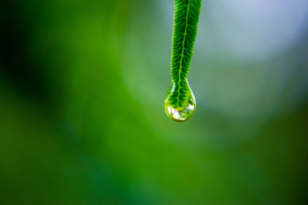 Фотография автора Jose Marcos Carvajal Tarazona