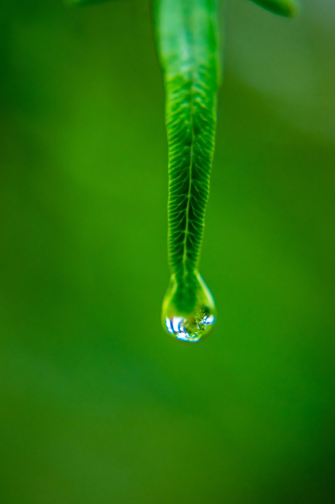 Фотография автора Jose Marcos Carvajal Tarazona