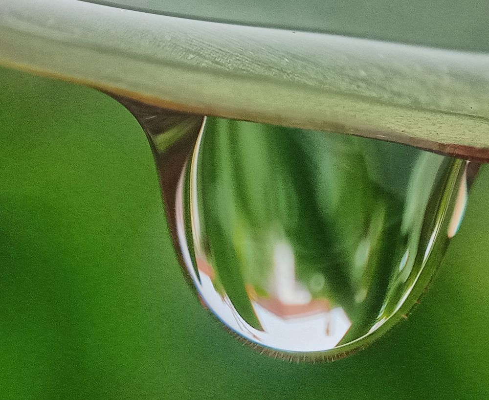 Фотография автора Jose Marcos Carvajal Tarazona