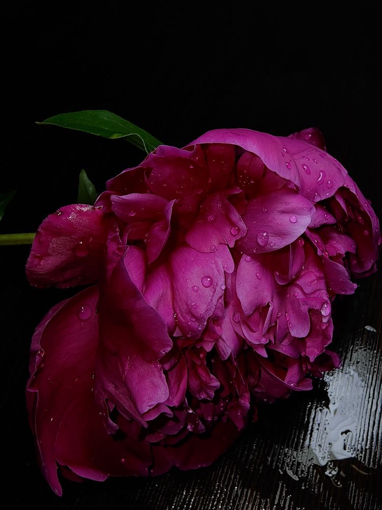 Photograph by Ирина Рыжова