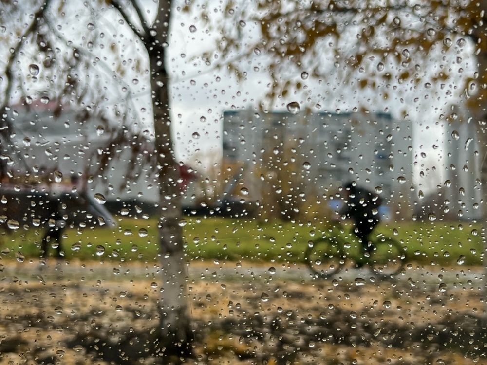 Photograph by Ольга Филатова