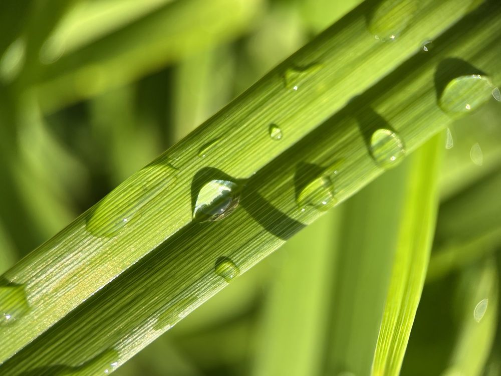 Photograph by Ольга Филатова