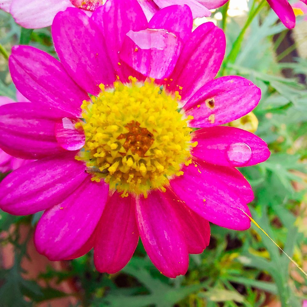 Photograph by Marharita