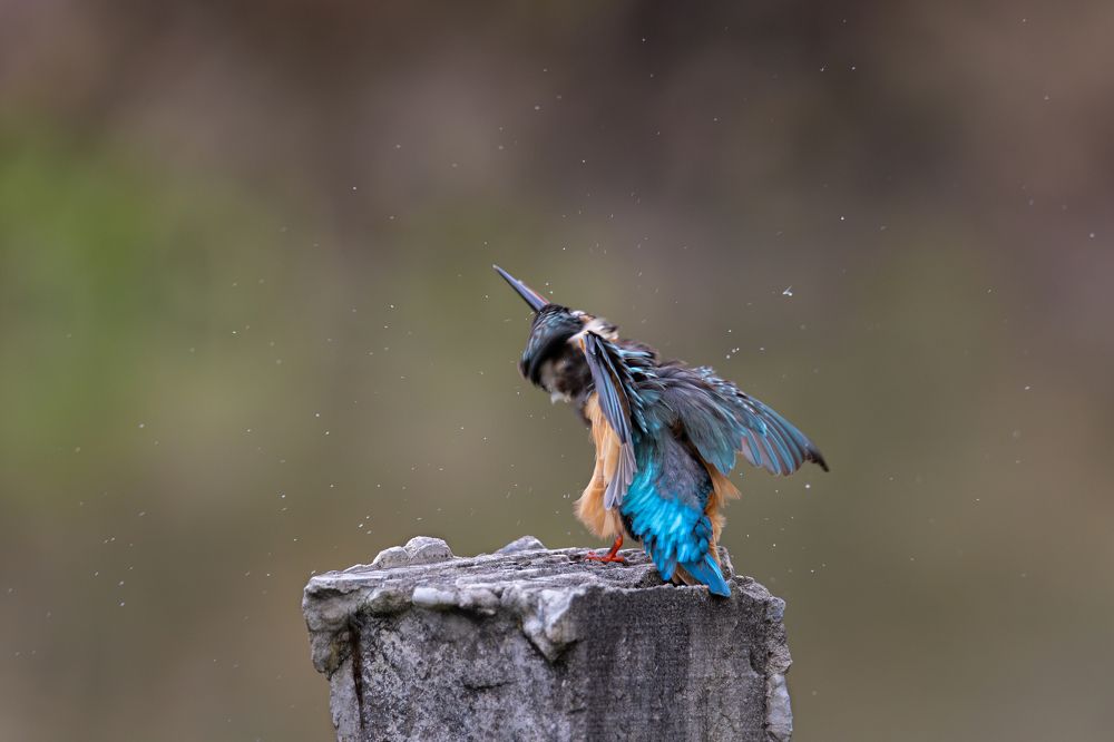 Photograph by Dung Le Tri