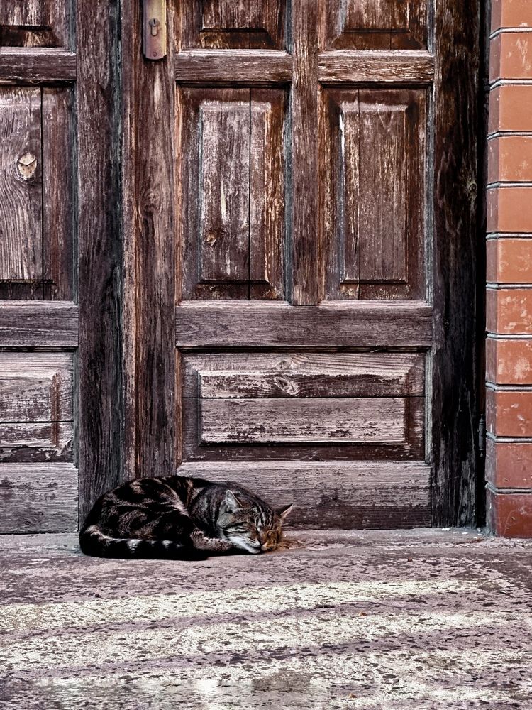 Photograph by Ksenia Sinitskaja