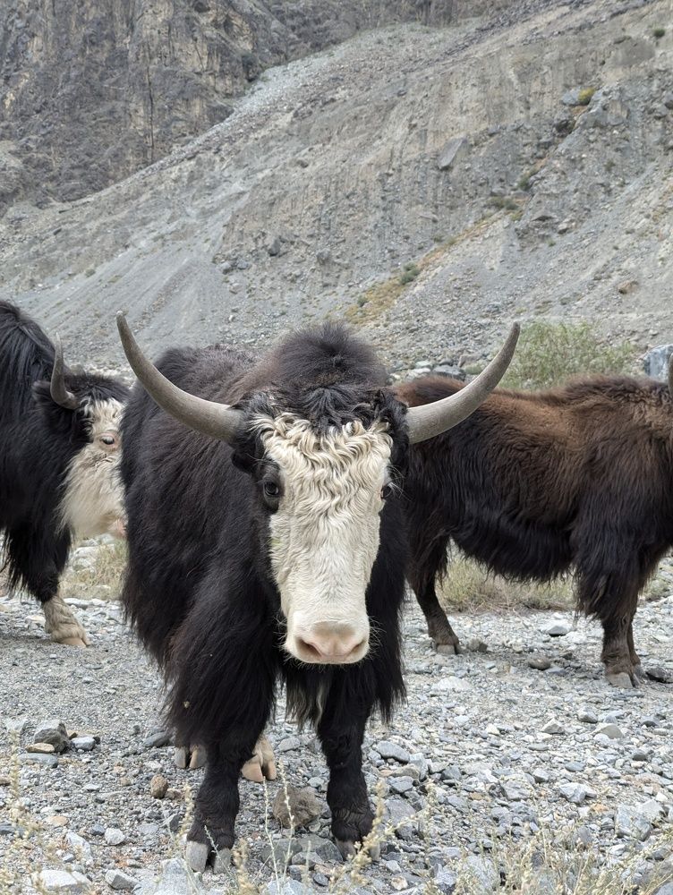 Photograph by Ishaq Karim