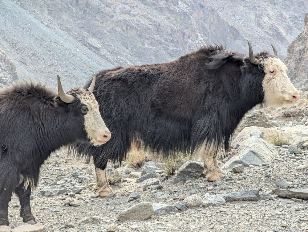 Photograph by Ishaq Karim