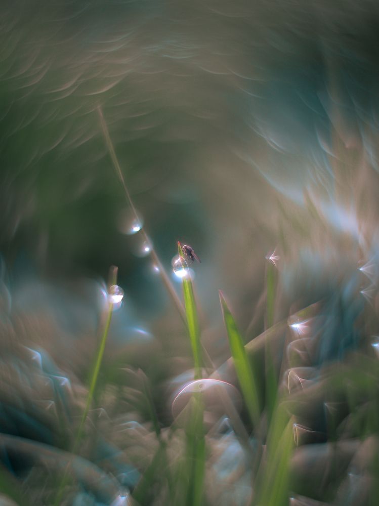 Фотография автора Игорь Васильев