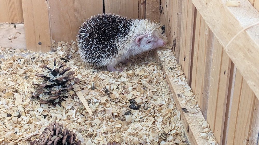 Photograph by Lilit Petrosyan