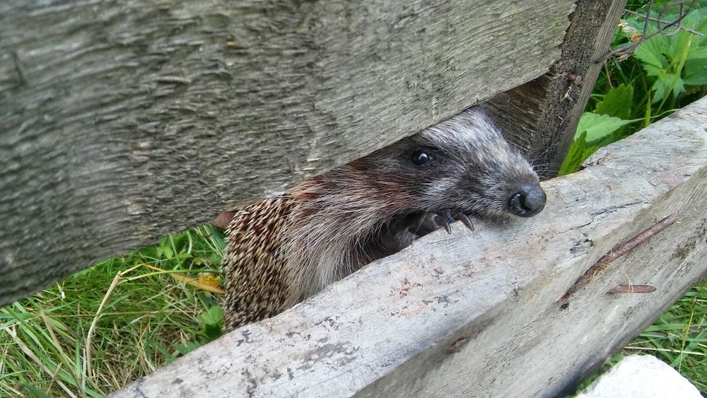 Photograph by Ксения Лебедева