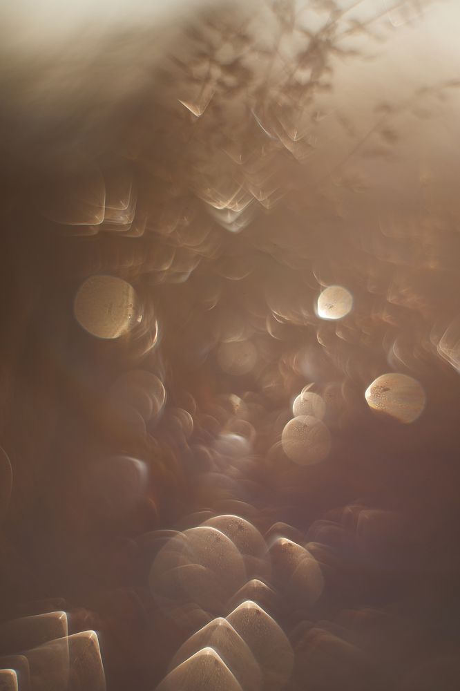Photograph by Дмитрий Осипчук