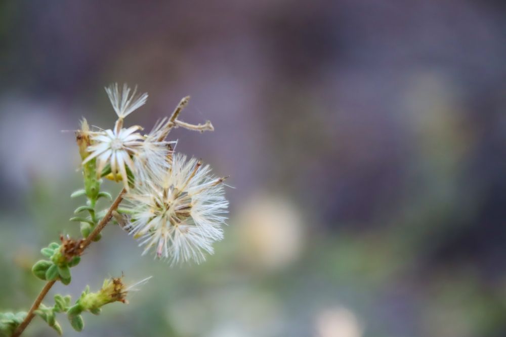 Фотография автора Olga Lavrenchuk