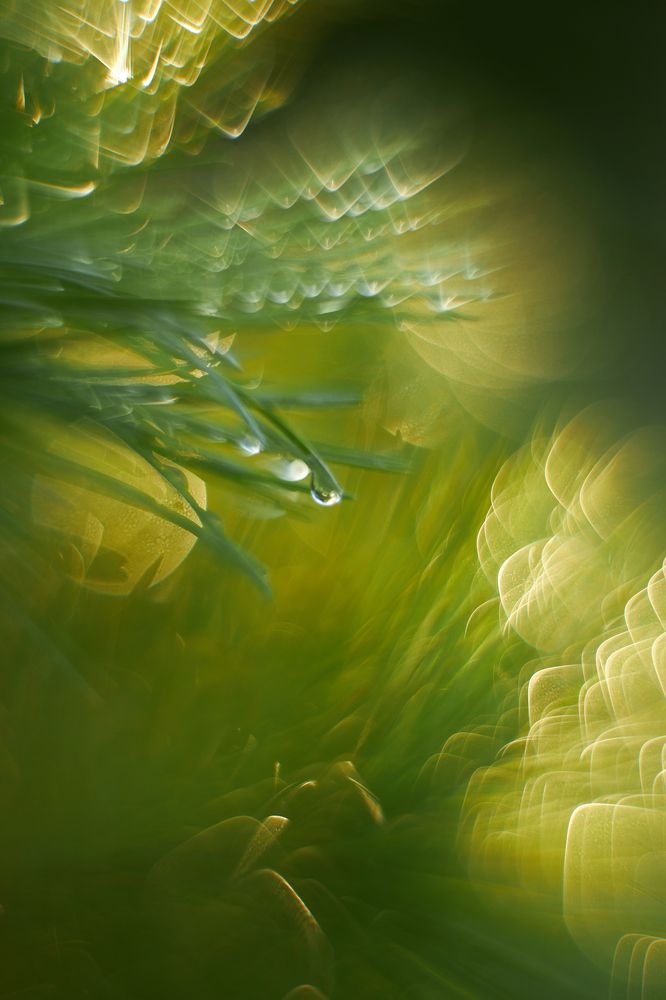 Photograph by Дмитрий Осипчук