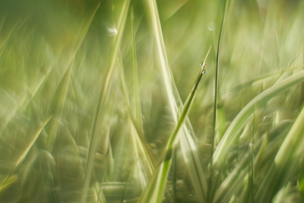 Photograph by Дмитрий Осипчук