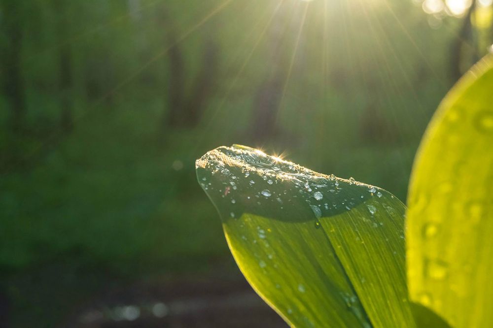 Photograph by Семина Ольга