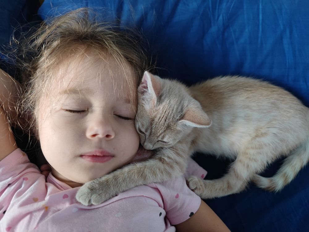 Photograph by Екатерина Харитонова