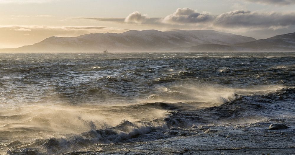 Январский шторм