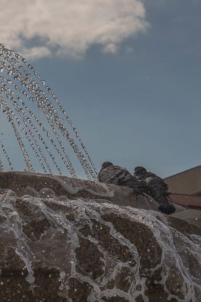 Фотография автора Наталья Почтенная