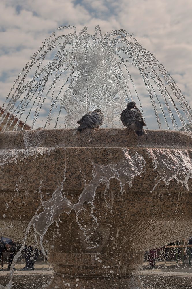 Фотография автора Наталья Почтенная