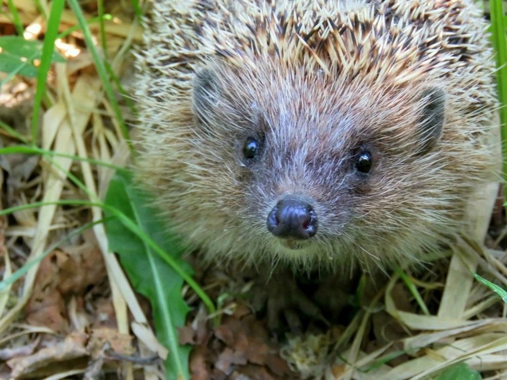 Photograph by Валерия Яскович