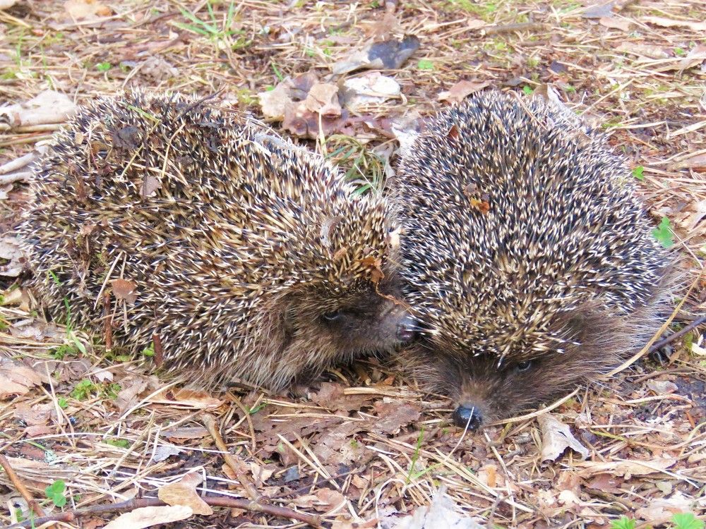 Photograph by Валерия Яскович