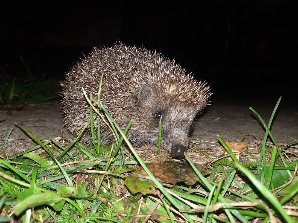 Photograph by Валерия Яскович