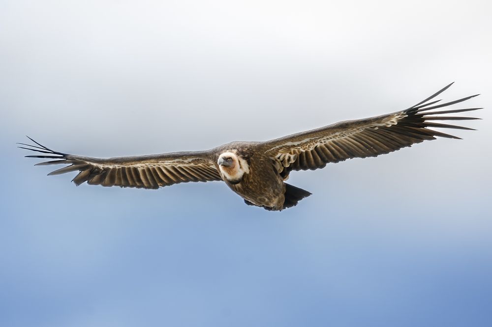 Photograph by Aleksandr Solovev