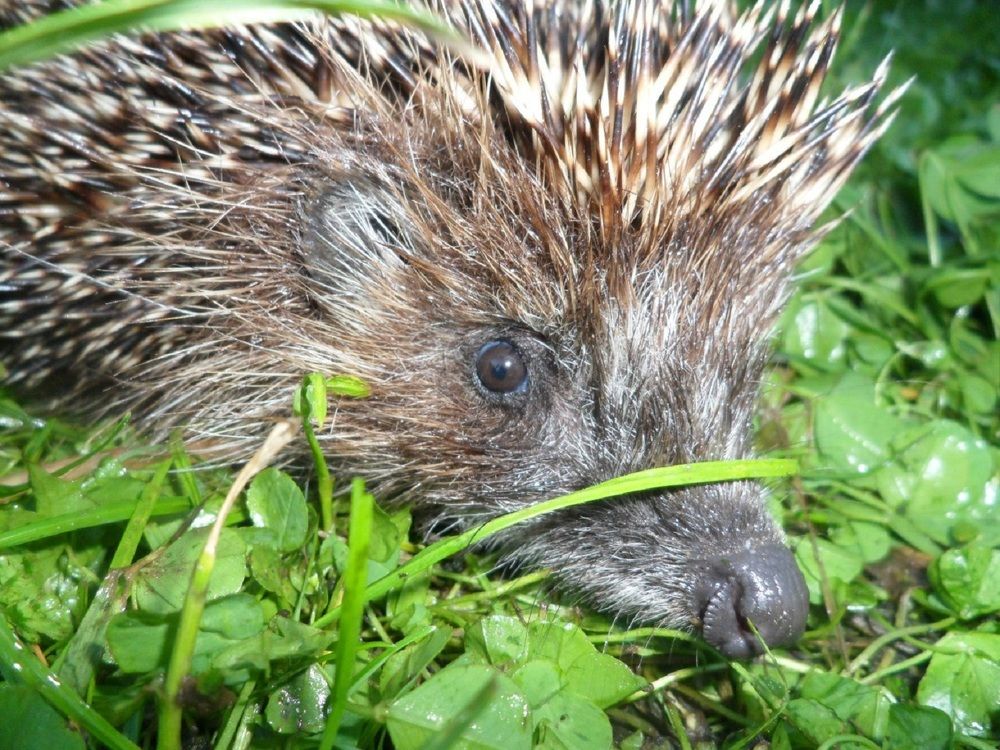 Photograph by Валерия Яскович